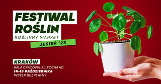 Festiwal Roślin w Krakowie - wielki market roślin w supercenach